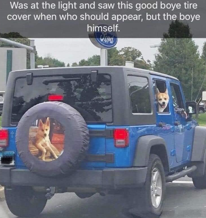 Was at the light and saw this good boye tire cover when who should appear, but the boye himself.