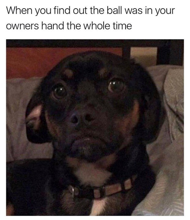 When you find out the ball was in your owners hand the whole time