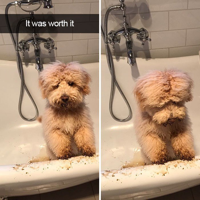 It was worth it
