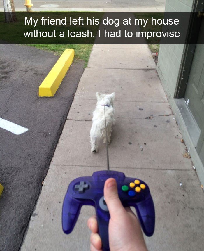 My friend left his dog at my house without a leash. I had to improvise