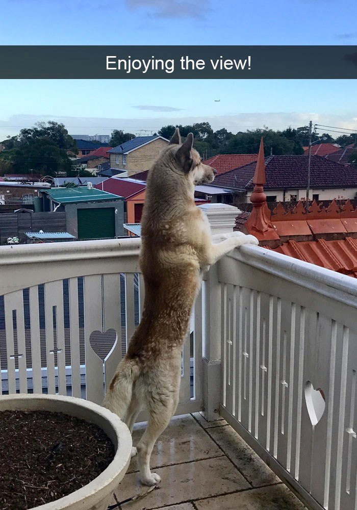 24 Enjoying the view!