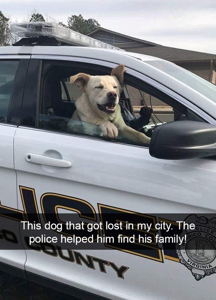RICO This dog that got lost in my city. The police helped him find his family! LICE COU VIRGINIA GUNTY