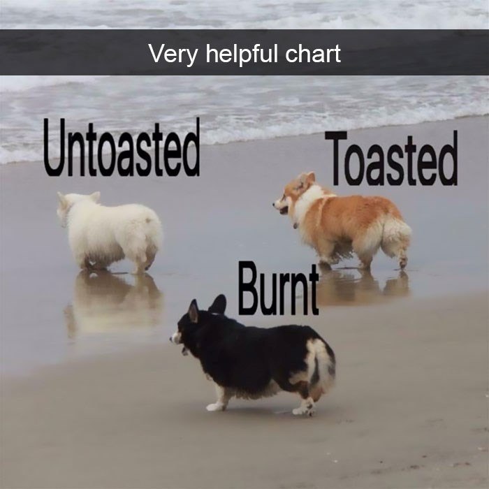 Very helpful chart Untoasted Burnt Toasted