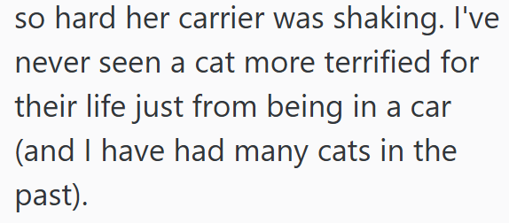 so hard her carrier was shaking. I've never seen a cat more terrified for their life just from being in a car (and I have had many cats in the past).