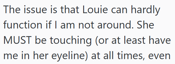 The issue is that Louie can hardly function if I am not around. She MUST be touching (or at least have me in her eyeline) at all times, even