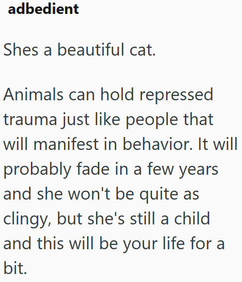 adbedient Shes a beautiful cat. Animals can hold repressed trauma just like people that will manifest in behavior. It will probably fade in a few years and she won't be quite as clingy, but she's still a child and this will be your life for a bit.