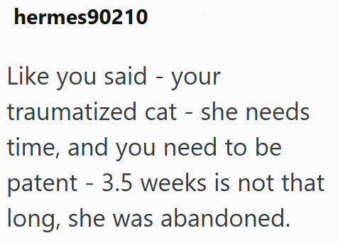 hermes90210 Like you said - your traumatized cat - she needs time, and you need to be patent - 3.5 weeks is not that long, she was abandoned.