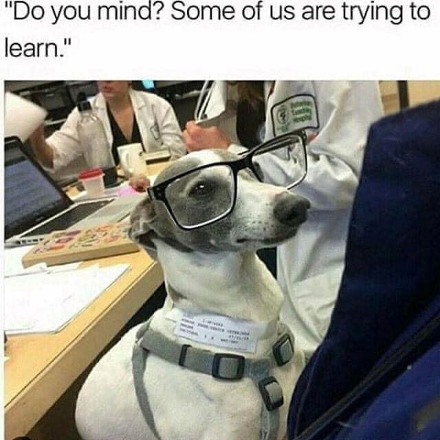 "Do you mind? Some of us are trying to learn."