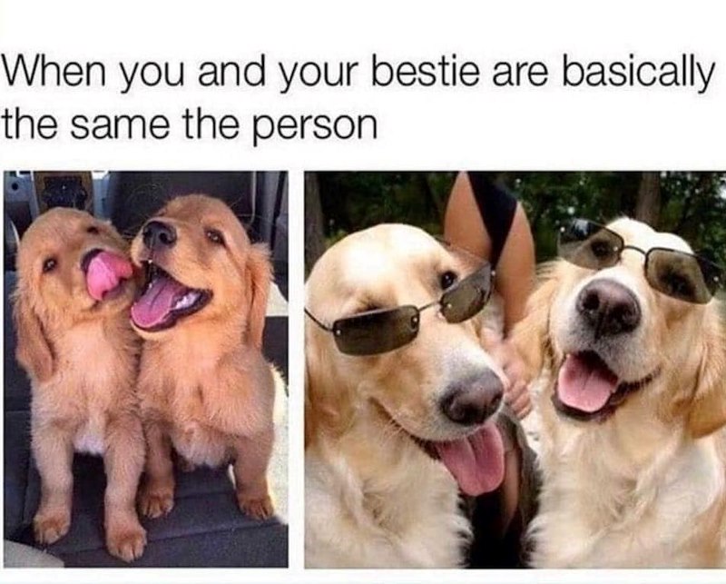 When you and your bestie are basically the same the person