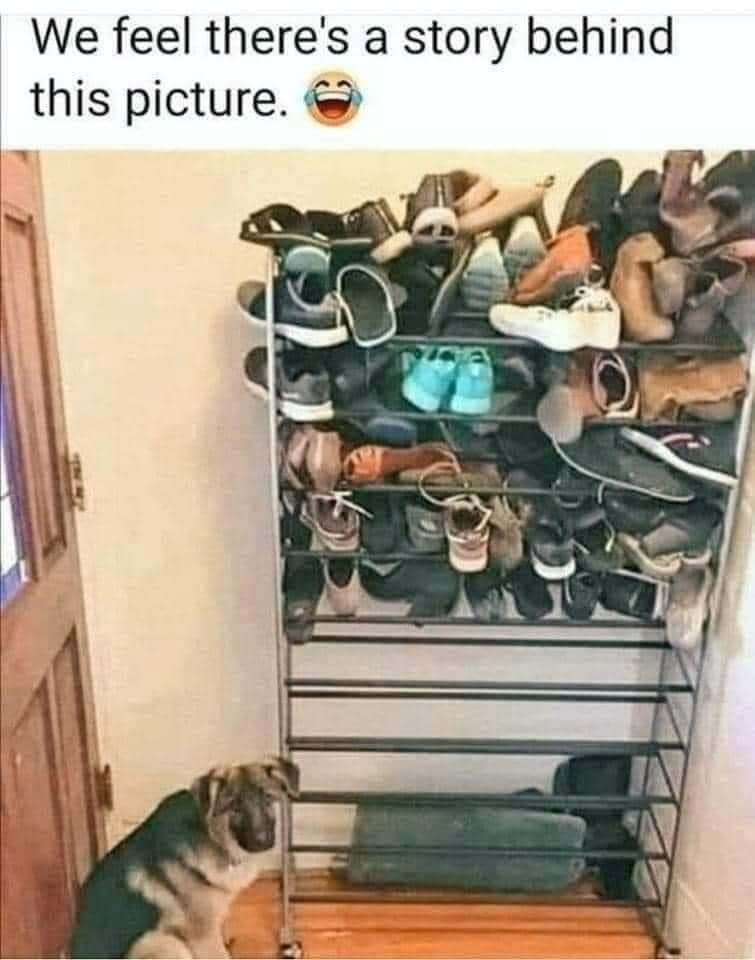 We feel there's a story behind this picture.