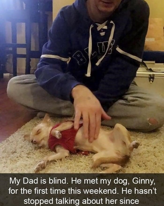 My Dad is blind. He met my dog, Ginny, for the first time this weekend. He hasn't stopped talking about her since 9