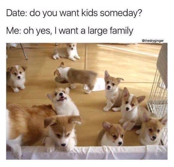 Date: do you want kids someday? Me: oh yes, I want a large family @thedryginger