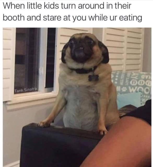 When little kids turn around in their booth and stare at you while ur eating Tank Sinatra DOG WOO