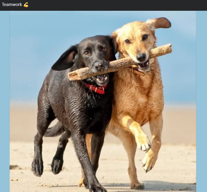 Teamwork