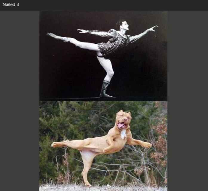 Nailed it