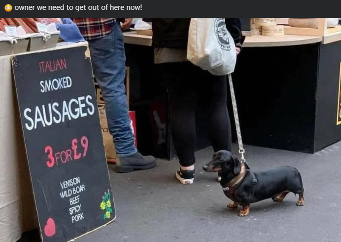 owner we need to get out of here now! ITALIAN SMOKED SAUSAGES 3FOR £9 VENISON WILD BOAR BEEF C SPICY PORK