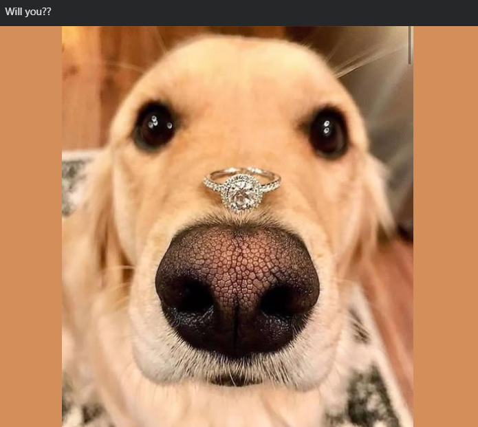 Will you??