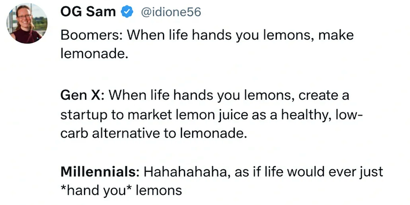 OG Sam @idione56 Boomers: When life hands you lemons, make lemonade. Gen X: When life hands you lemons, create a startup to market lemon juice as a healthy, low- carb alternative to lemonade. Millennials: Hahahahaha, as if life would ever just *hand you* lemons