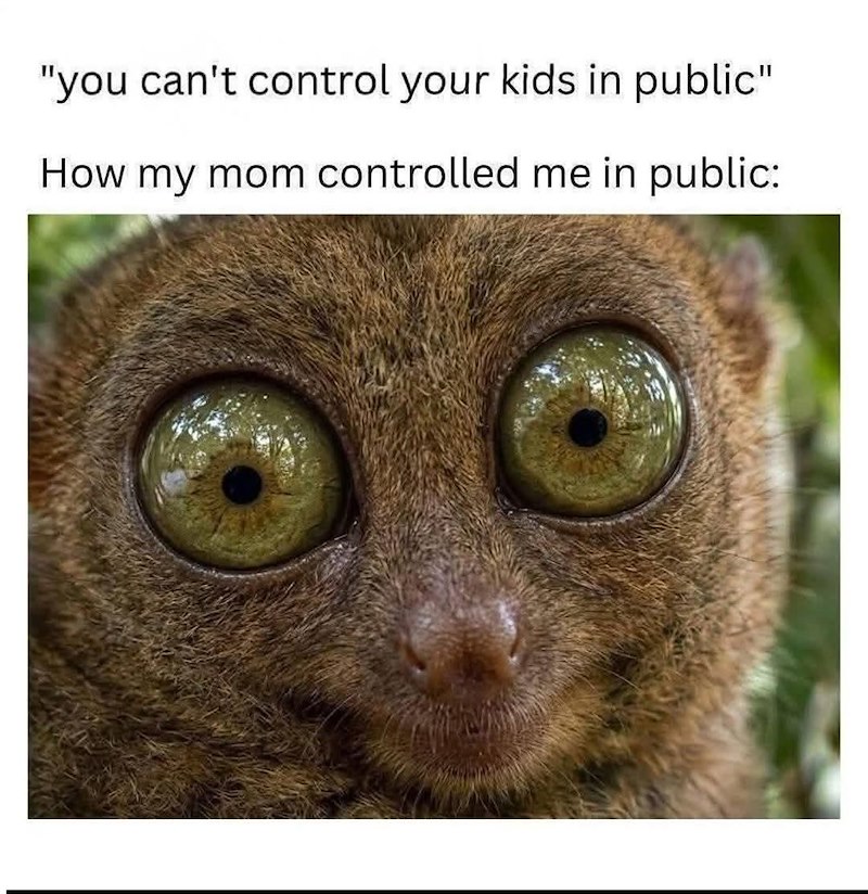 "you can't control your kids in public" How my mom controlled me in public: