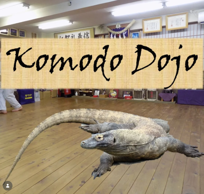 1. Komodo Dojo