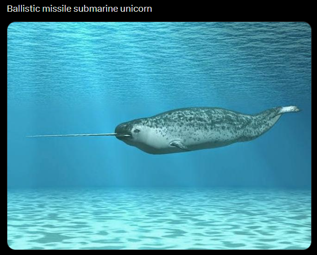 Ballistic missile submarine unicorn