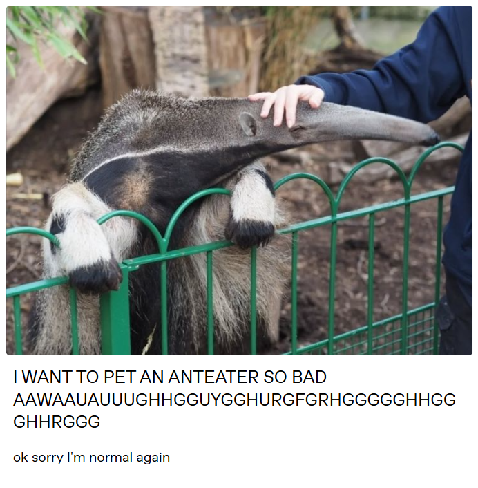 I WANT TO PET AN ANTEATER SO BAD AAWAAUAUUUGHHGGUYGGHURGFGRHGGGGGHHGG GHHRGGG ok sorry I'm normal again