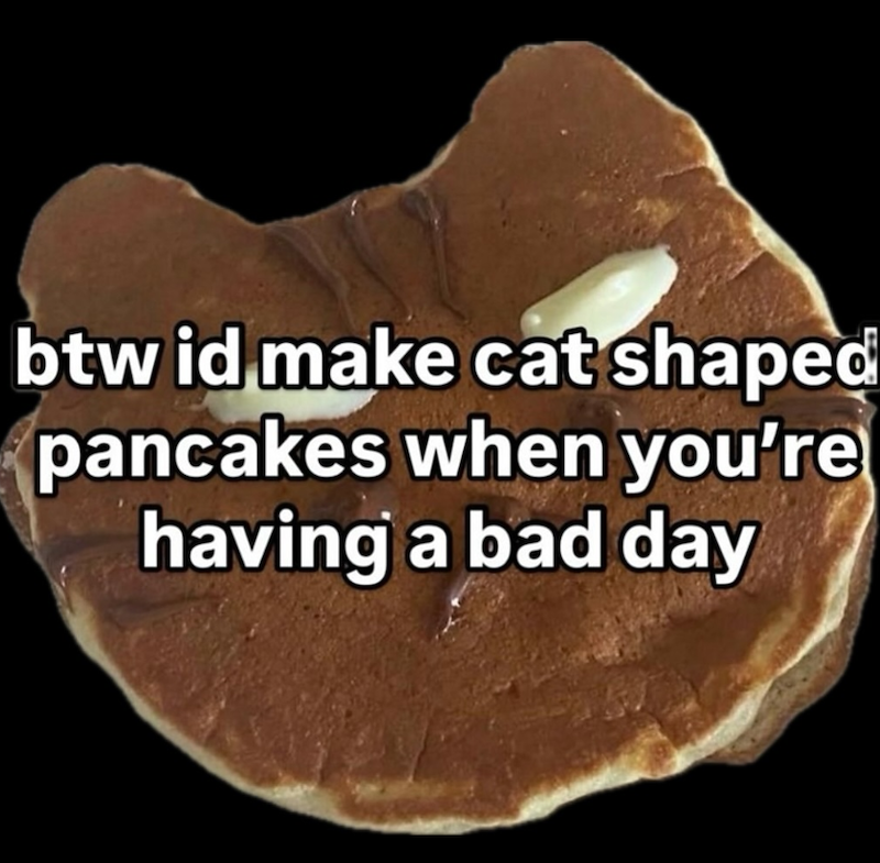 btw id make cat shaped pancakes when you're having a bad day