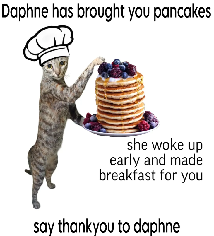 Daphne has brought you pancakes she woke up early and made breakfast for you say thankyou to daphne
