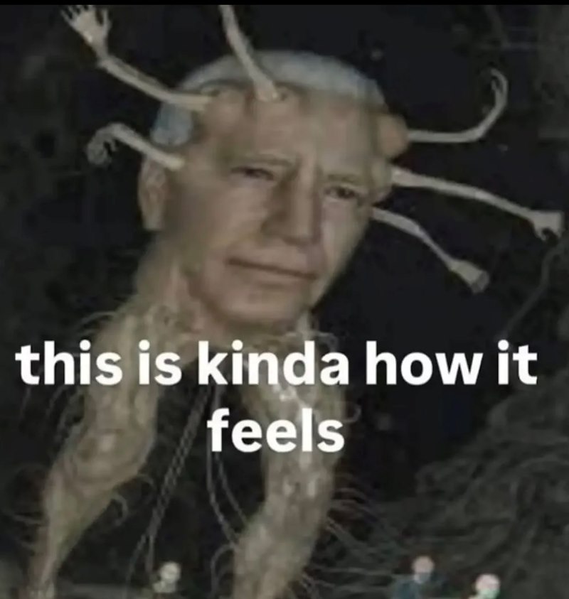 this is kinda how it feels