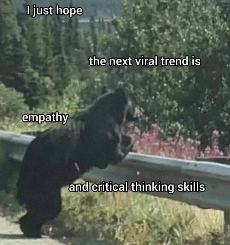 I just hope empathy the next viral trend is and critical thinking skills