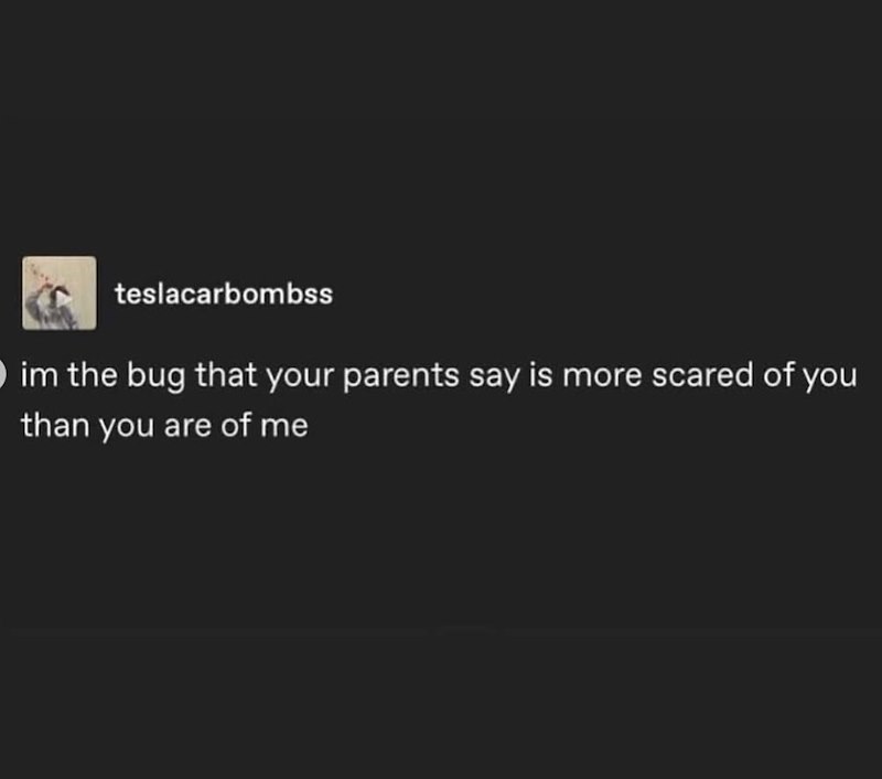 teslacarbombss im the bug that your parents say is more scared of you than you are of me