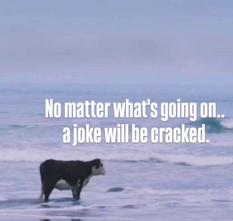 No matter what's going on.. a joke will be cracked.