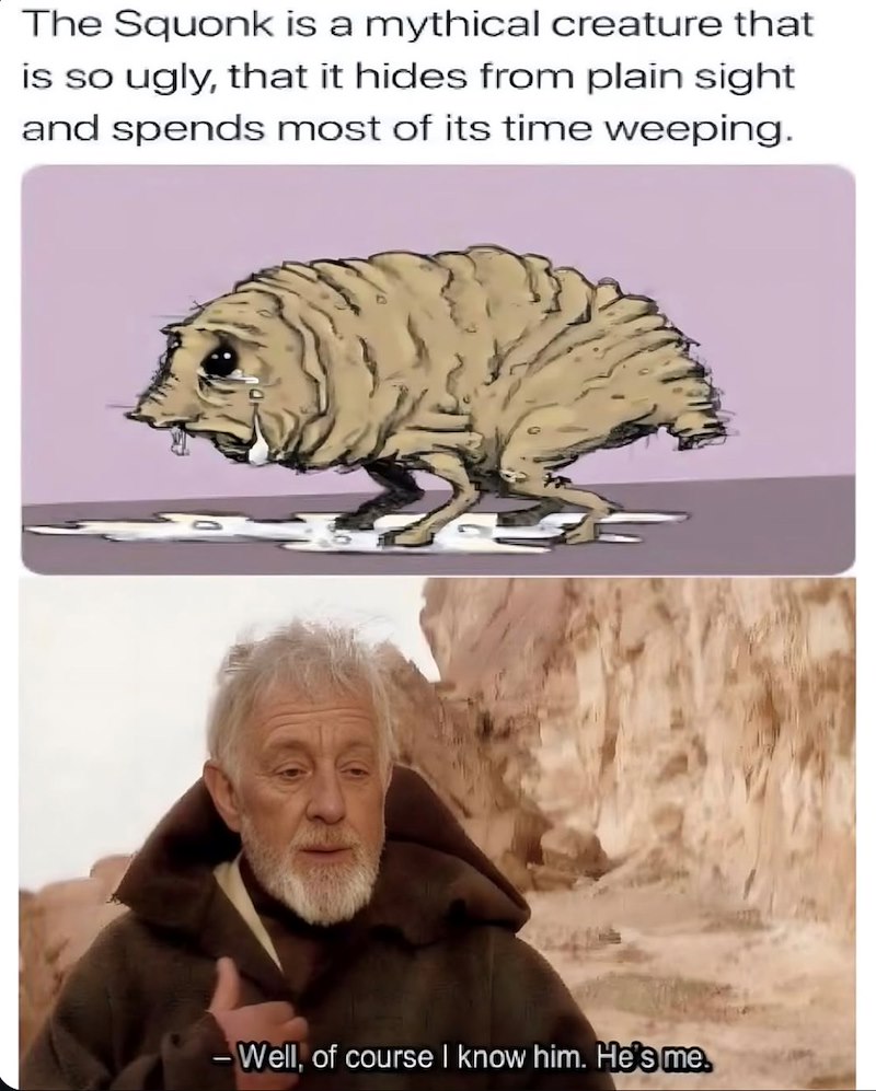 The Squonk is a mythical creature that is so ugly, that it hides from plain sight and spends most of its time weeping. -Well, of course I know him. He's me.