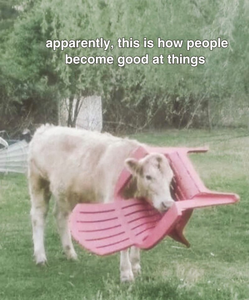 apparently, this is how people become good at things