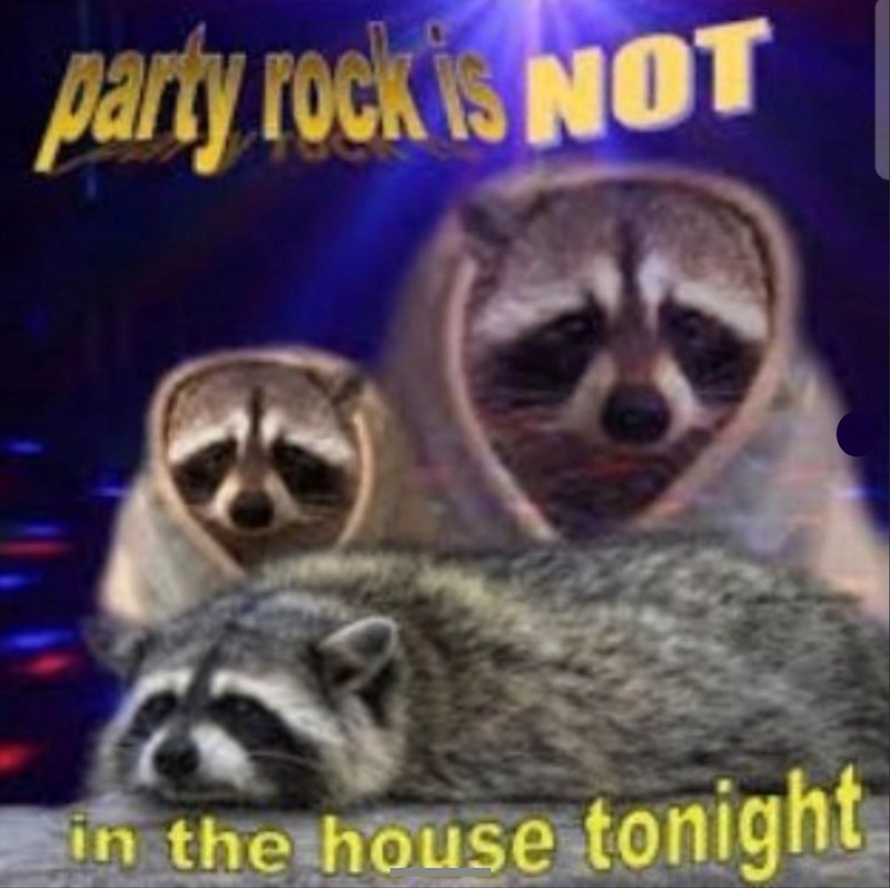 party rock is NOT in the house tonight