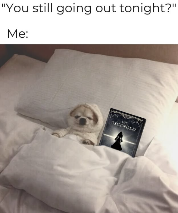 "You still going out tonight?" Me: ASCENDED THE