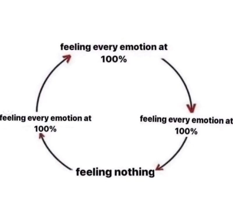 feeling every emotion at 100% feeling every emotion at 100% feeling every emotion at 100% feeling nothing