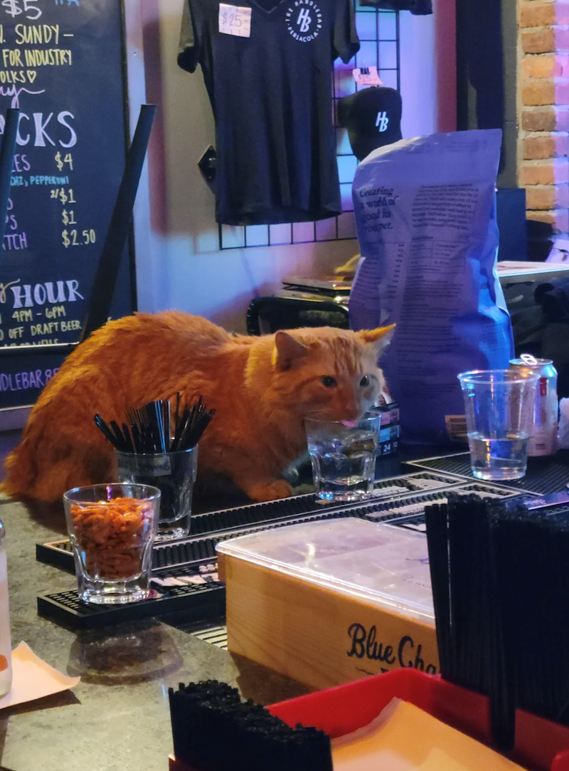 $5 SUNDY- FOR INDUSTRY OLKS гу CKS ES $4 DAZ, PEPPERONI 2/$1 'S $1 TCH $2.50 HOUR 4PM-6PM DOFF DRAFT BEER DLEBAR $25- LEAR Coating world a good fo Youpet. Blue Cho