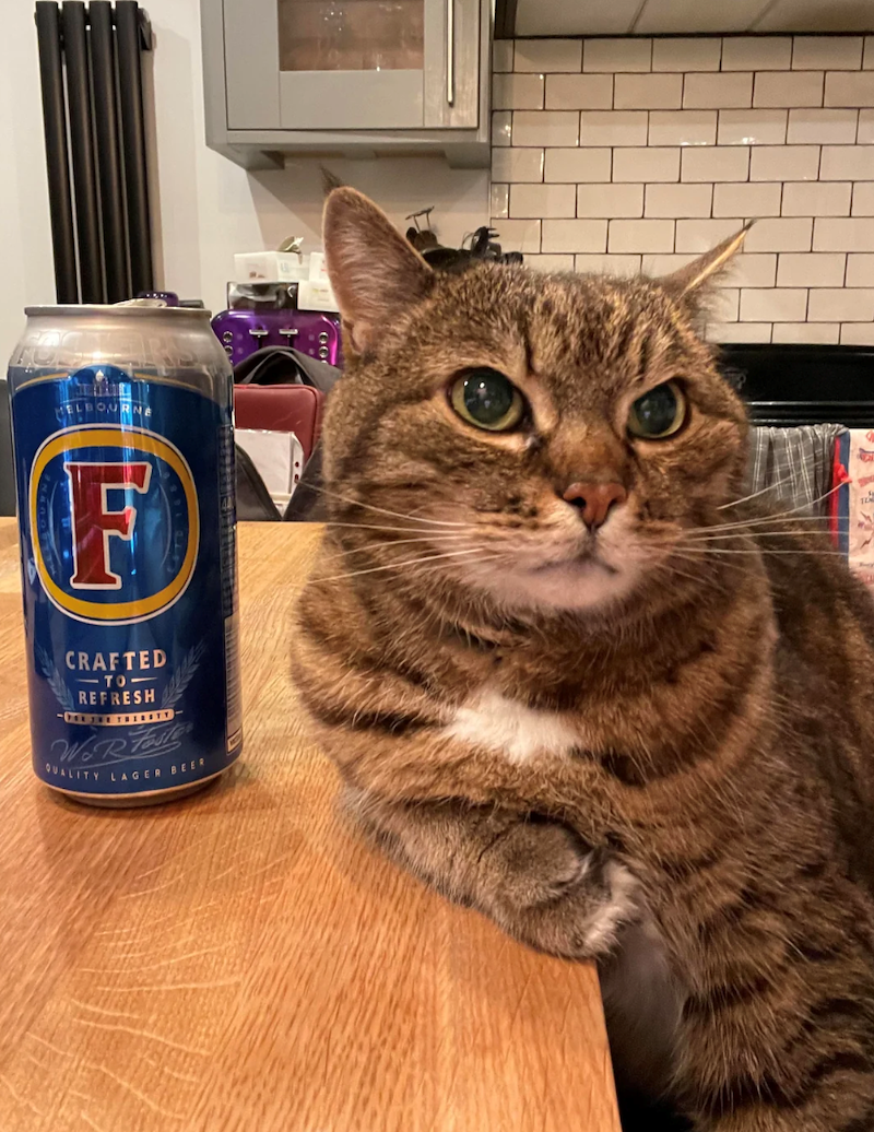 F CRAFTED TO- REFRESH W&R Faile QUALITY LAGER BEER
