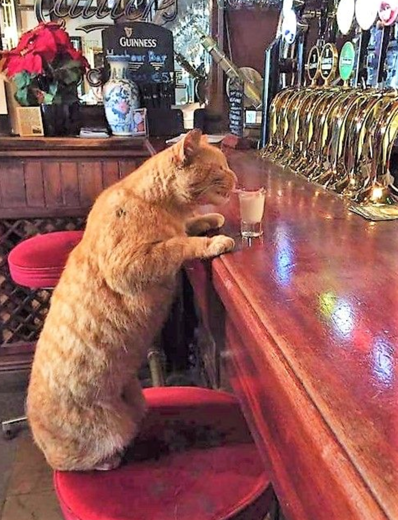 GUINNESS