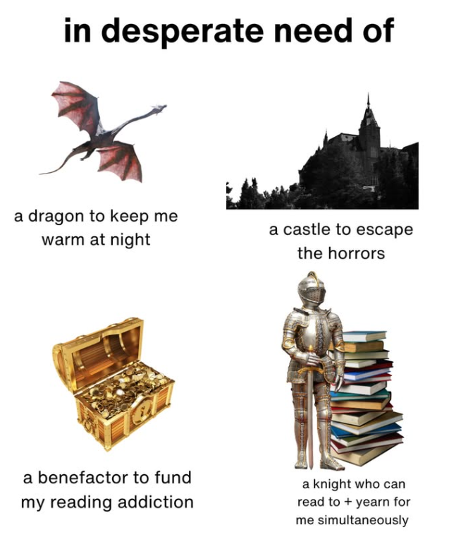 in desperate need of a dragon to keep me warm at night a benefactor to fund my reading addiction a castle to escape the horrors a knight who can read to + yearn for me simultaneously