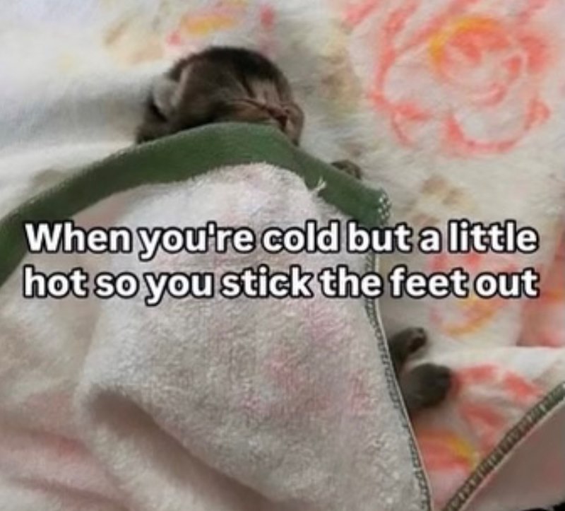 When you're cold but a little hot so you stick the feet out