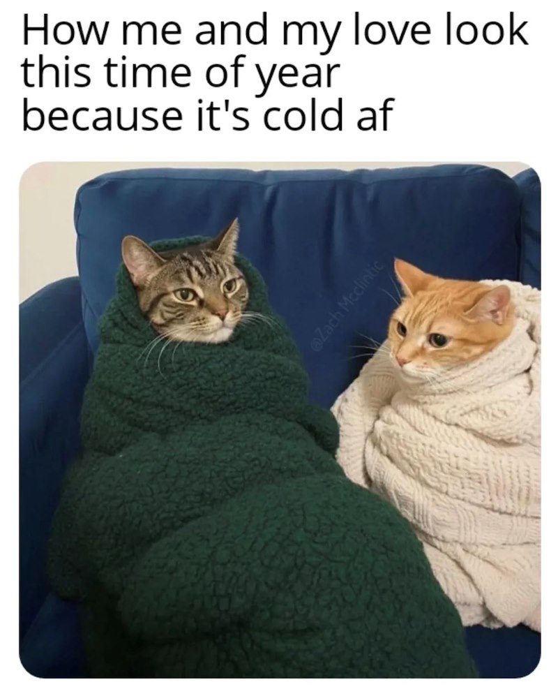 How me and my love look this time of year because it's cold af @Zach Mcclintic