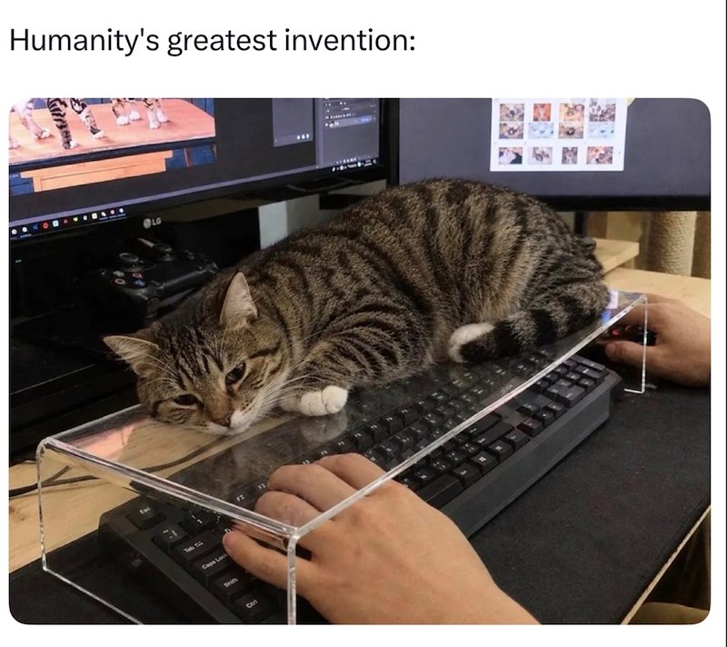 Humanity's greatest invention: Tab tis Caps Lock Ctri LG