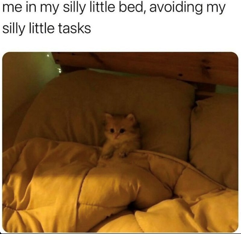 me in my silly little bed, avoiding my silly little tasks