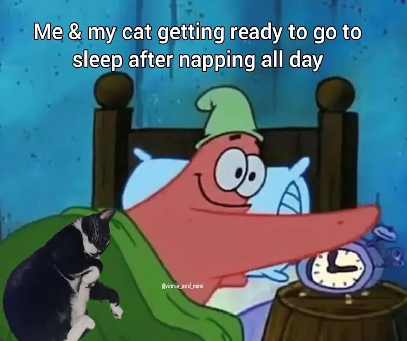 Me & my cat getting ready to go to sleep after napping all day vinnie_and_mimi