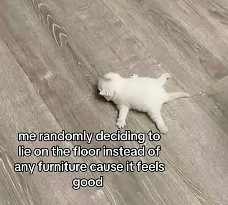 me randomly deciding to lie on the floor instead of any furniture cause it feels good