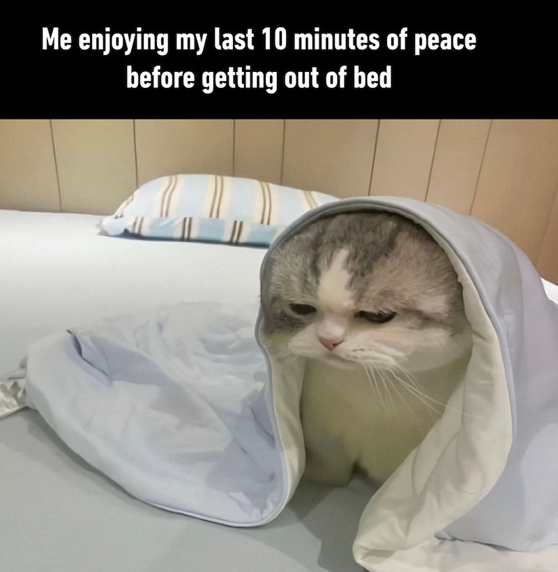 Me enjoying my last 10 minutes of peace before getting out of bed