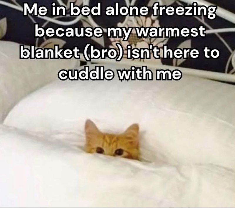 Me in bed alone freezing because my warmest blanket (bro) isn't here to cuddle with me