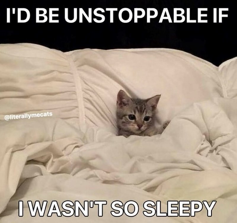 I'D BE UNSTOPPABLE IF @literallymecats I WASN'T SO SLEEPY